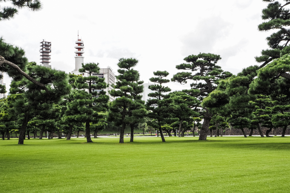 pajuska-na-cestach-imperial-palace-tokyo