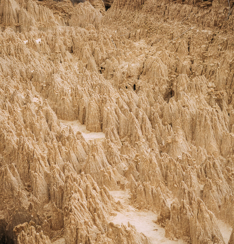 P9290564
